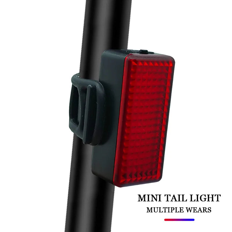 BUCKLOS USB Rechargeable LED Bike Tail Light – 6 Modes IPX5 Bicycle Tail Light Nixie