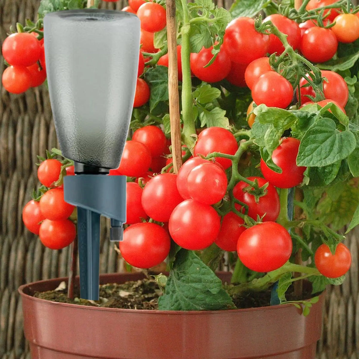 6-Pack Plant Self Watering Spikes – Drip Irrigation Device