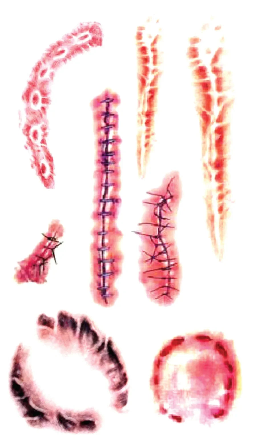Halloween Scar Spider Temporary Tattoo Stickers – 40 Designs Temporary Tattoo Sticker Nixie 34