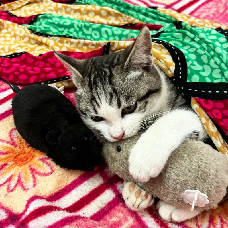 Interactive Pet Swinging Tail Toy – Battery-Free Cat & Dog Toy Interactive Pet Toy Nixie