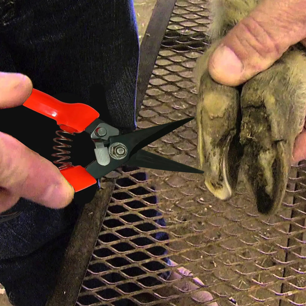 Sheep & Goat Hoof Trimmers – Stainless Steel Shears Hoof Trimming Shears Nixie