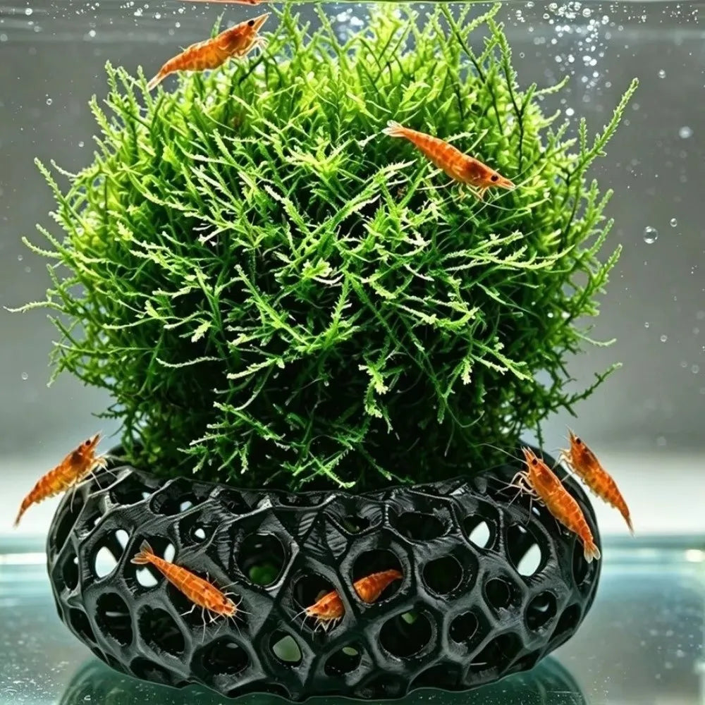 3D Printed Fish & Shrimp Hiding Cave – Aquarium Shelter