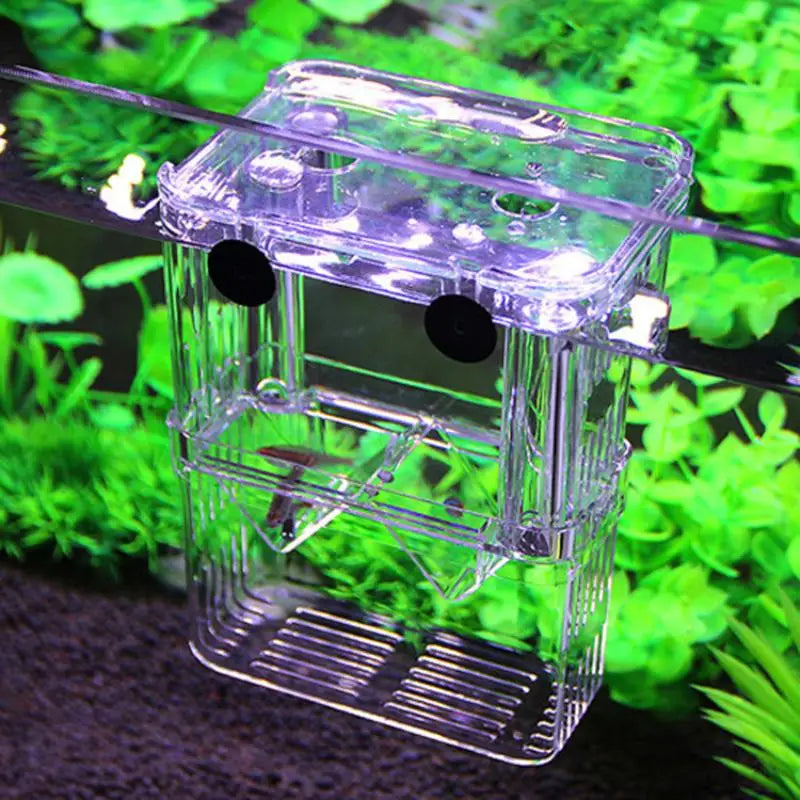 Acrylic Fish Breeding Isolation Box – Aquarium Hatchery Aquarium Breeder Box Nixie