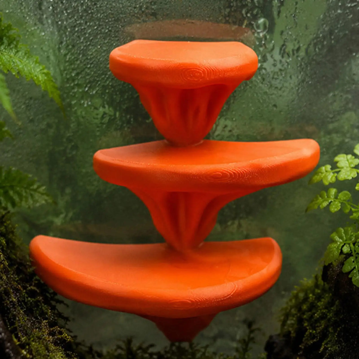 Gecko Tank Mushroom Perch | Reptile Terrarium Decor & Platform Reptile Terrarium Decor Nixie