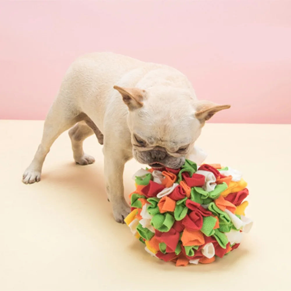 Rainbow Snuffle Ball Dog Enrichment Toy – Brain Training & Slow Feed Dog Enrichment Toy Nixie