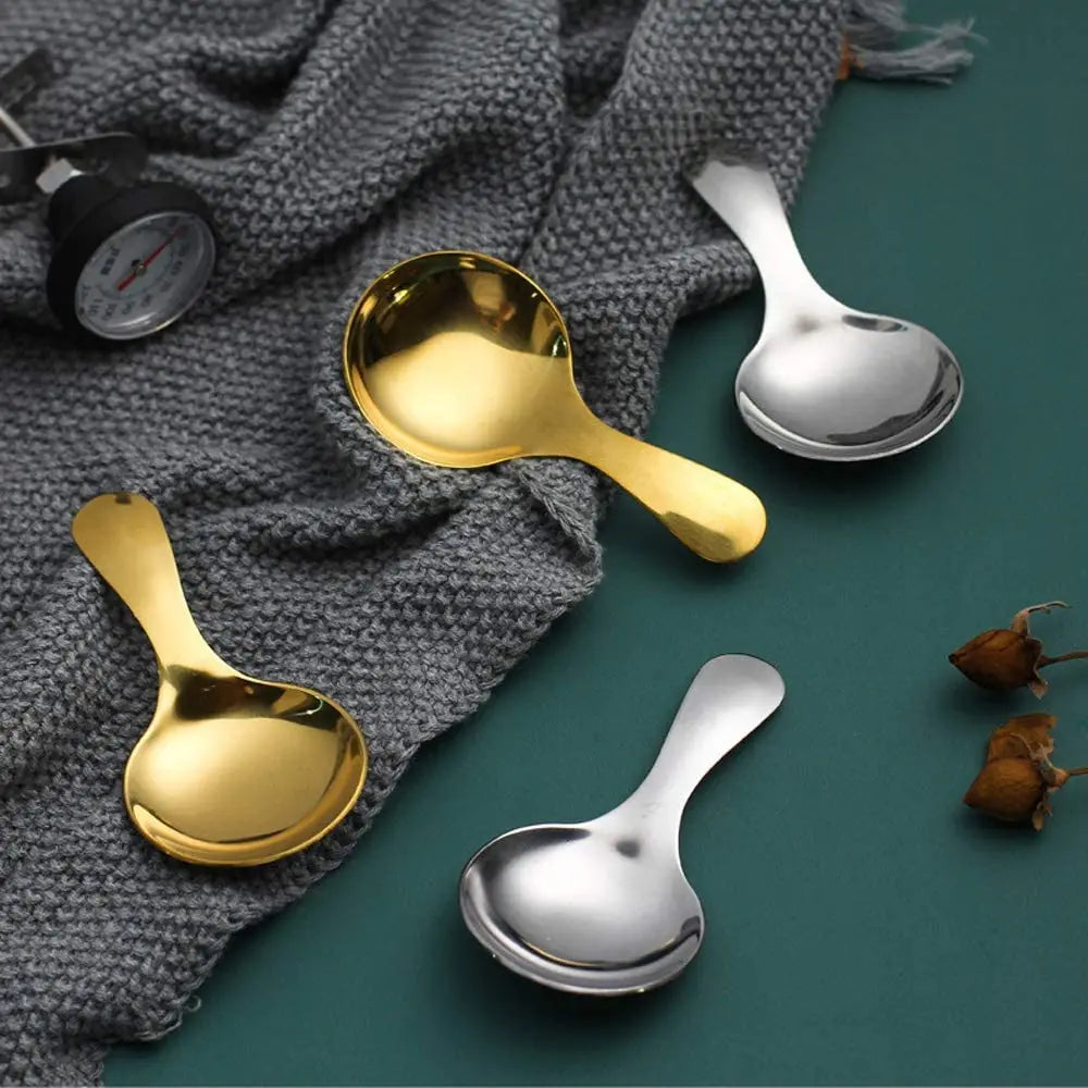 304 Stainless Steel Mini Spoon – Dessert, Tea & Ice Cream Scoop Mini Kitchen Spoon Nixie