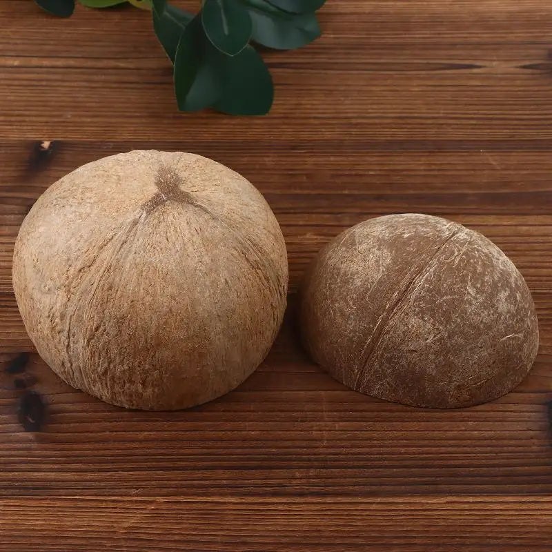 Coconut Shell Reptile Hideout Hut for Aquarium & Terrarium Reptile Hideout Nixie