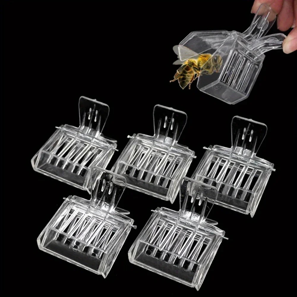 Queen Bee Catcher Clip Cage | Beekeeping Tool 1 or 5 Pcs