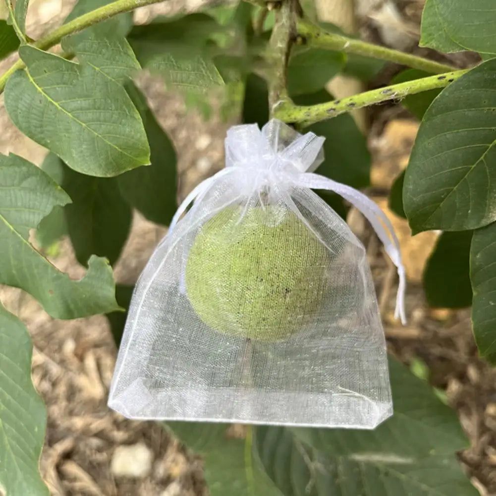 Reusable Mesh Fruit Protection Bags with Drawstring – 10–40 Pack Garden Mesh Bags Nixie