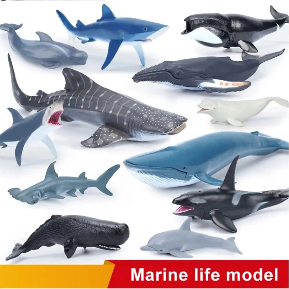 Ocean Animal PVC Figurines – Shark, Whale & Dolphin Sea Life Set Animal Figure Set Nixie
