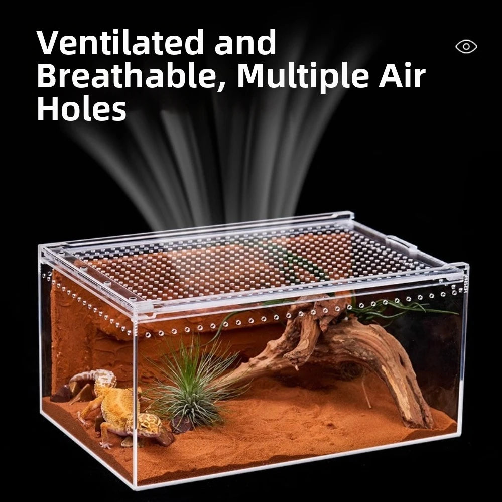 Transparent Acrylic Reptile Terrarium – Ventilated Lizard Habitat