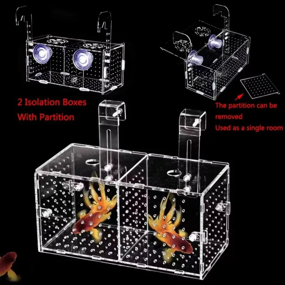 Acrylic Aquarium Isolation Box – Fry Breeder & Spawning Hatchery