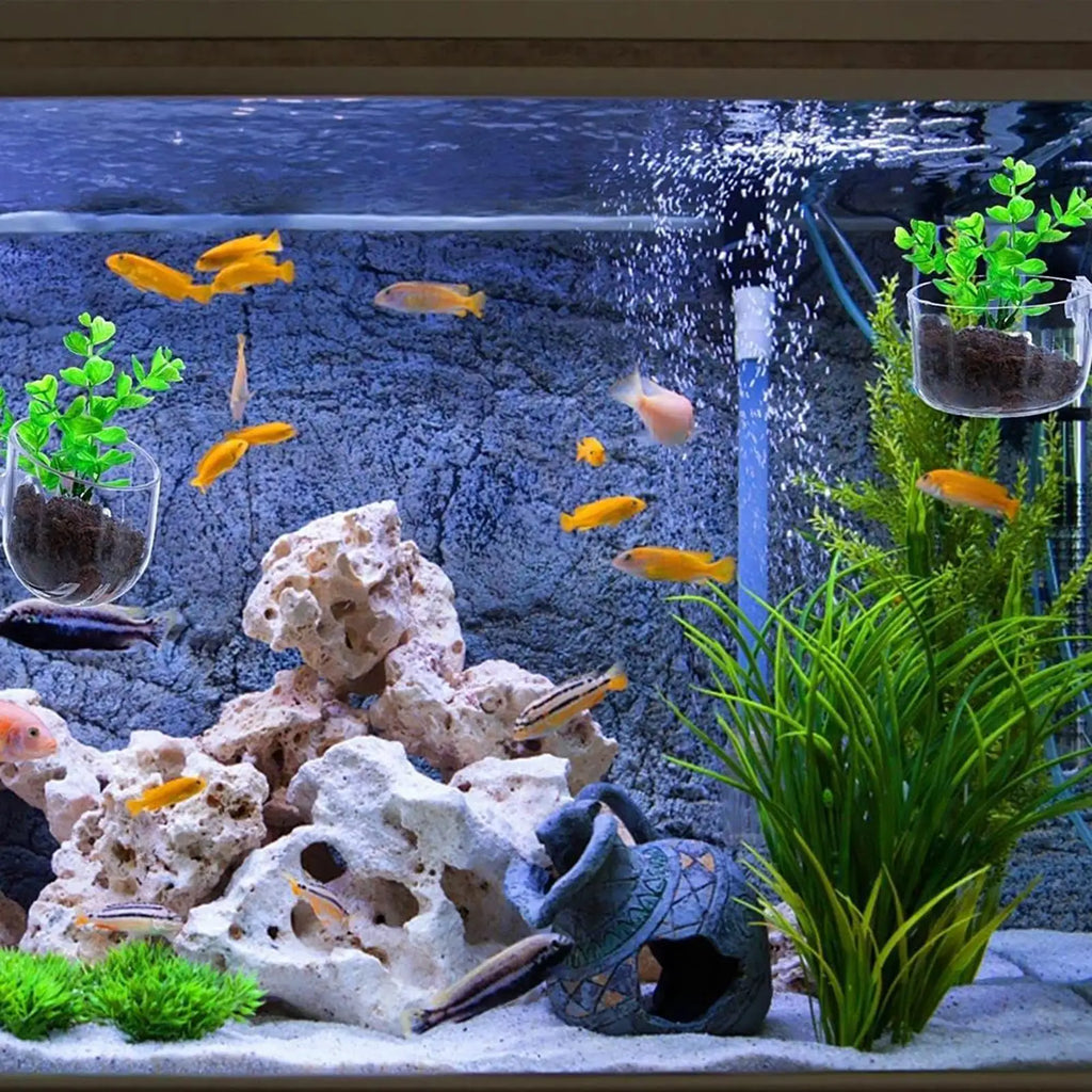 Aquatic Plant Pot with Suction Cup – Fish Tank Decoration Aquarium Plant Holder Nixie