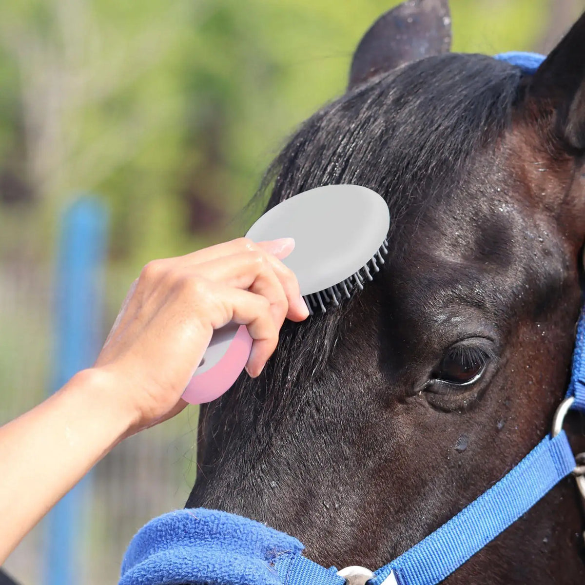 Professional Horse Mane & Tail Grooming Brush | Pearl Comb Horse Grooming Brush Nixie