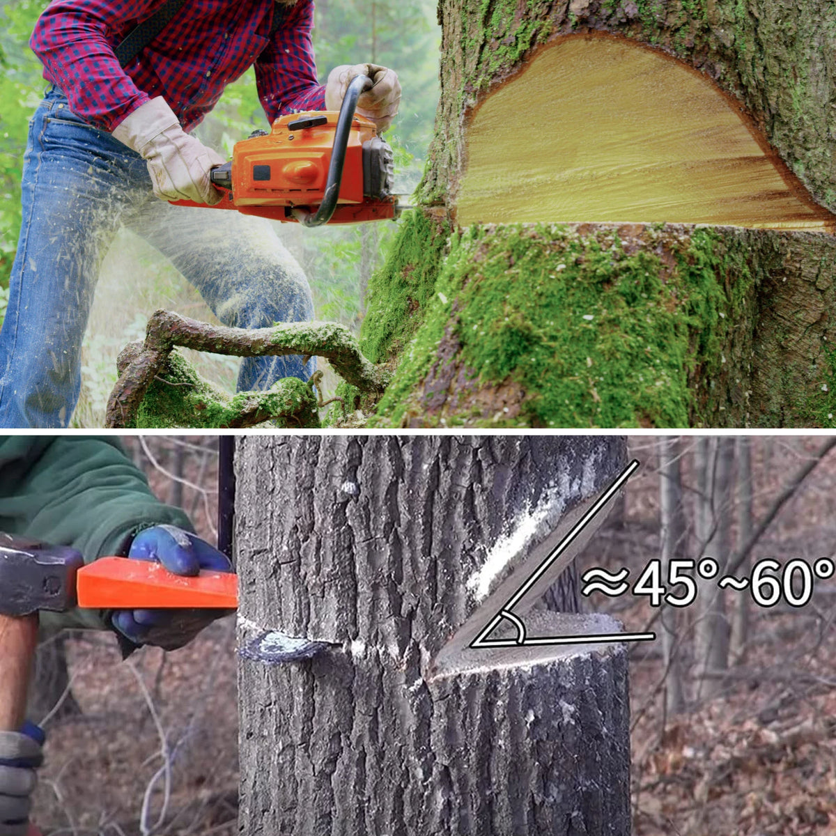3-Pack Plastic Felling Wedges – Chainsaw Tree Cutting Safety