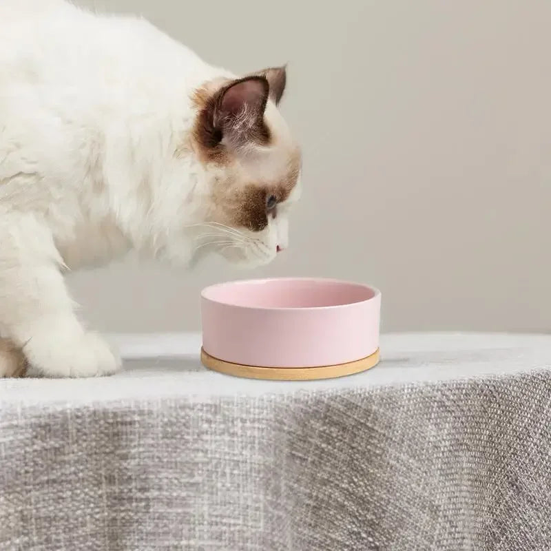 Heated Ceramic Pet Water Bowl – Thermostatic Dog & Cat Feeder Heated Pet Bowl Nixie