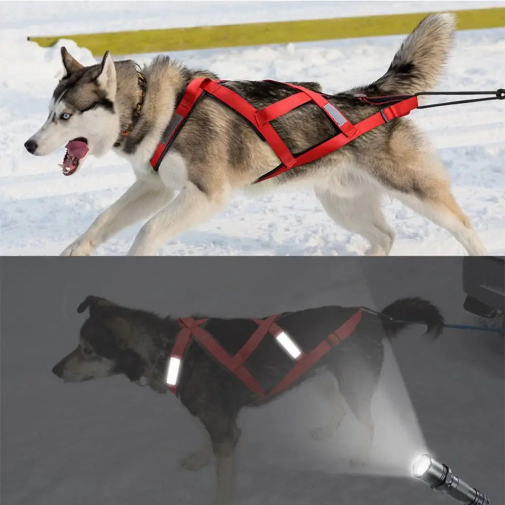 Reflective Dog Sled Harness – Adjustable Skijoring & Pulling