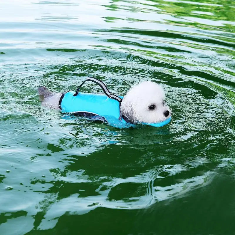Dog Life Jacket – Adjustable Pet Safety Vest for Swimming & Boating Dog Life Jacket Nixie