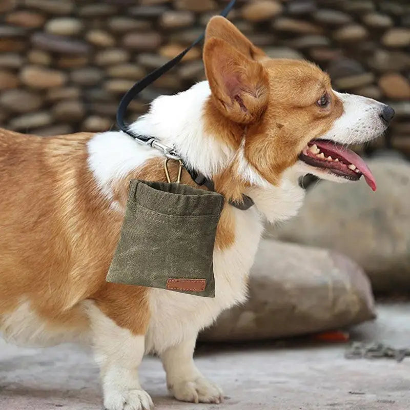 Dog Training Treat Pouch – Portable Food Dispenser Bag Dog Treat Pouch Nixie
