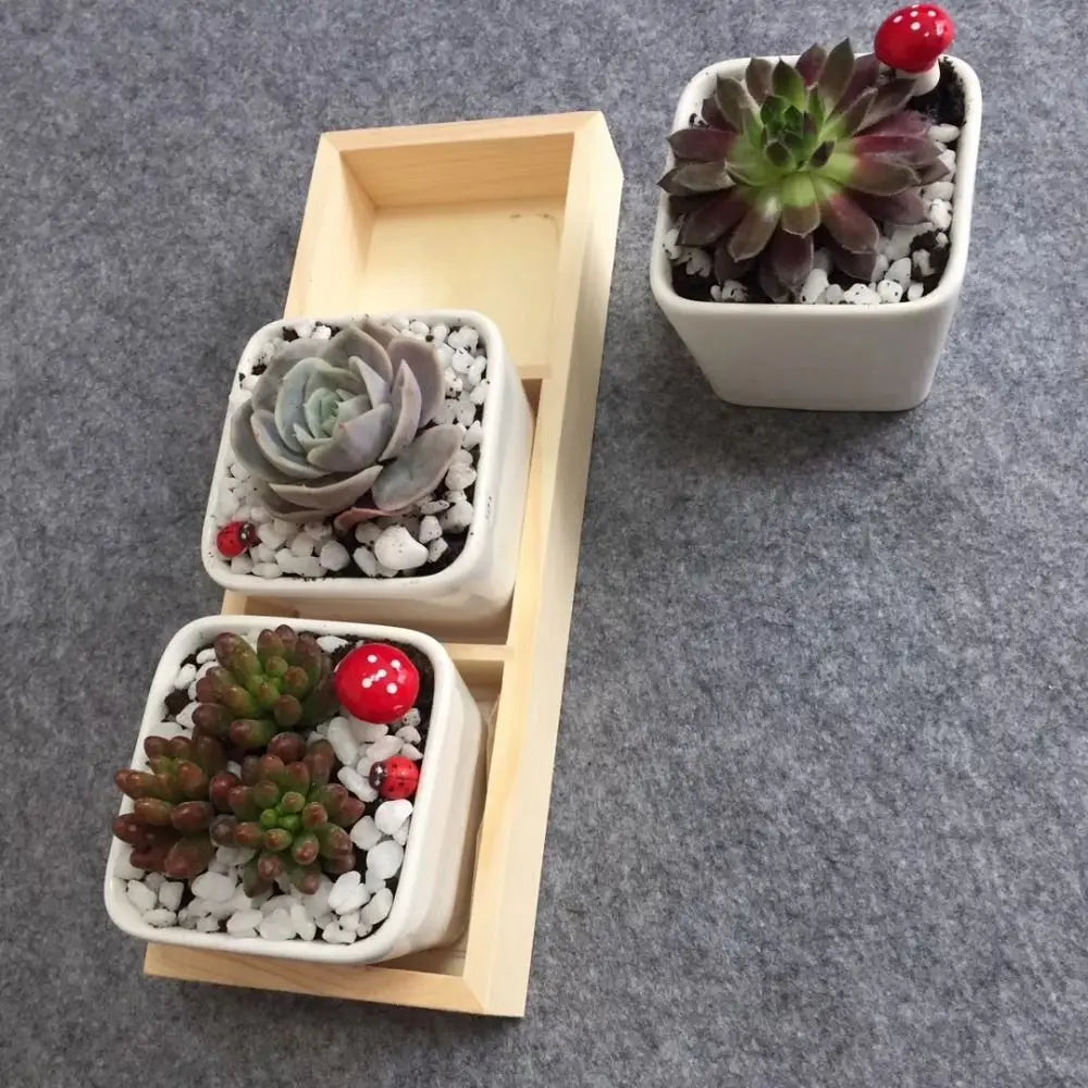 Multi-Grid Wood Succulent Tray & Desktop Organizer Holder Wood Planter Tray Nixie