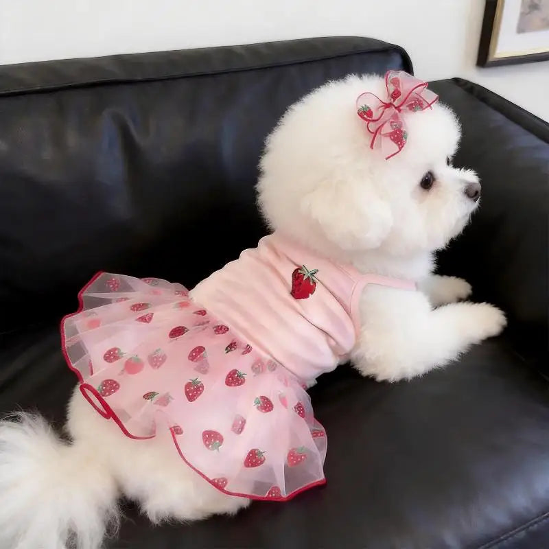 Strawberry Princess Pet Dress for Dogs & Cats – XS to XL Pet Dress Nixie