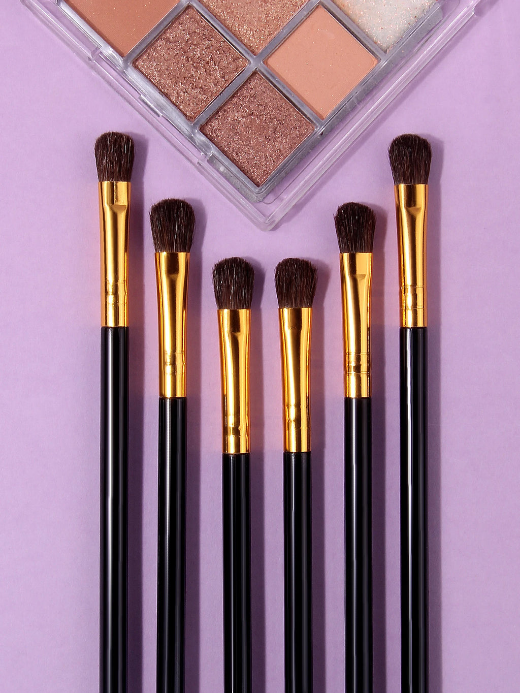 6-Piece Horsehair Eyeshadow Brush Set – Blending & Contouring Eyeshadow Brush Set Nixie