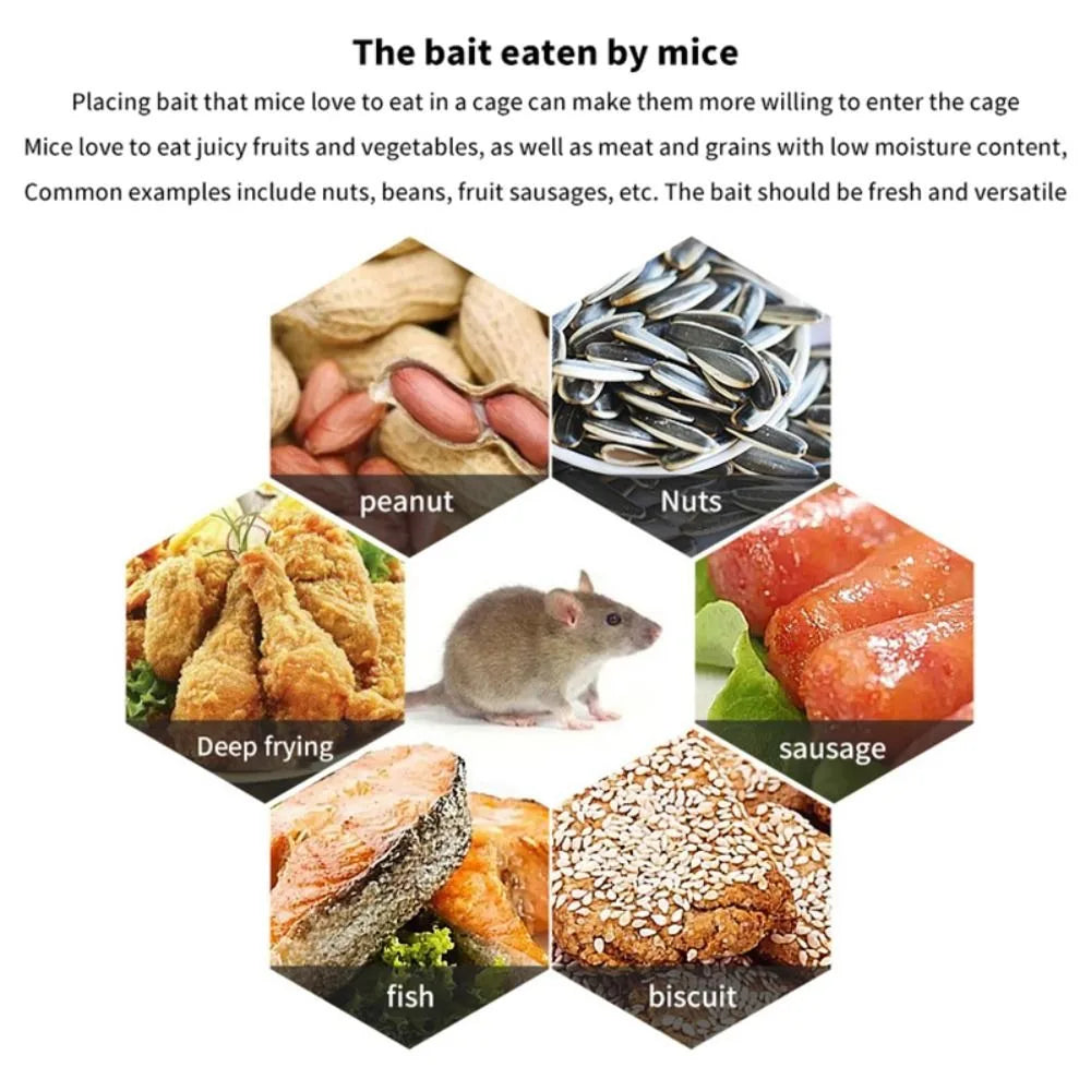 Humane Multi-Catch Mouse Trap Cage | Large Capacity Rat Trap