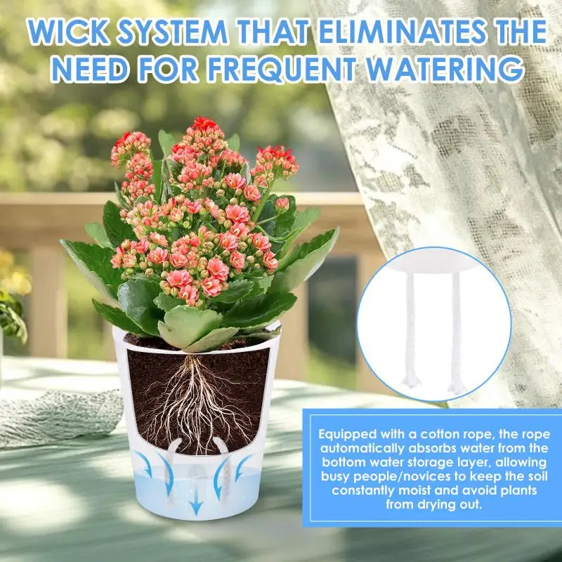 Self-Watering Planter Pot for Herbs & Succulents | 3/5/10 Pack