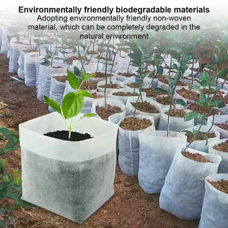 100-Pack Biodegradable Non-Woven Seed Nursery Bags | Eco Grow Seed Nursery Bags Nixie