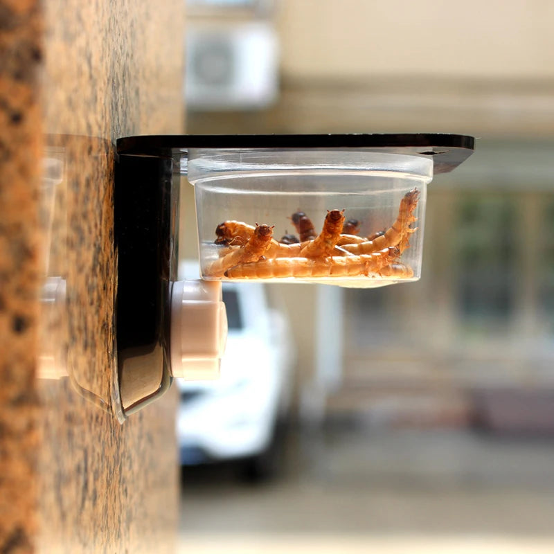 Reptile Feeding Bowl & Water Dish – Snake, Gecko Terrarium
