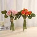 Minimalist Nordic Transparent Vase – Flowers & Hydroponics Decorative Vase Nixie Default Title