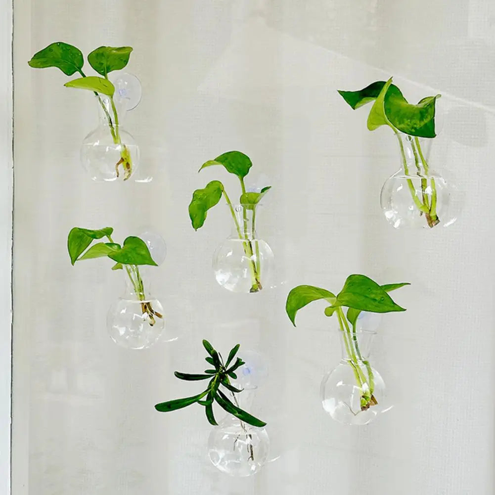 Window Propagation Station Plant Bulb Vase with Suction Cup Propagation Planter Nixie