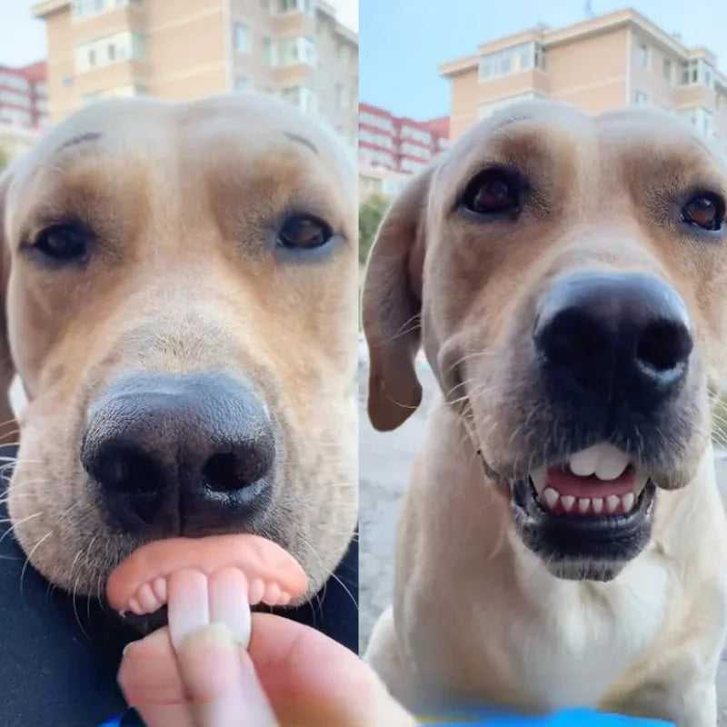 Funny Dog False Teeth – Halloween Cosplay Pet Costume Prop Novelty Pet Prop Nixie