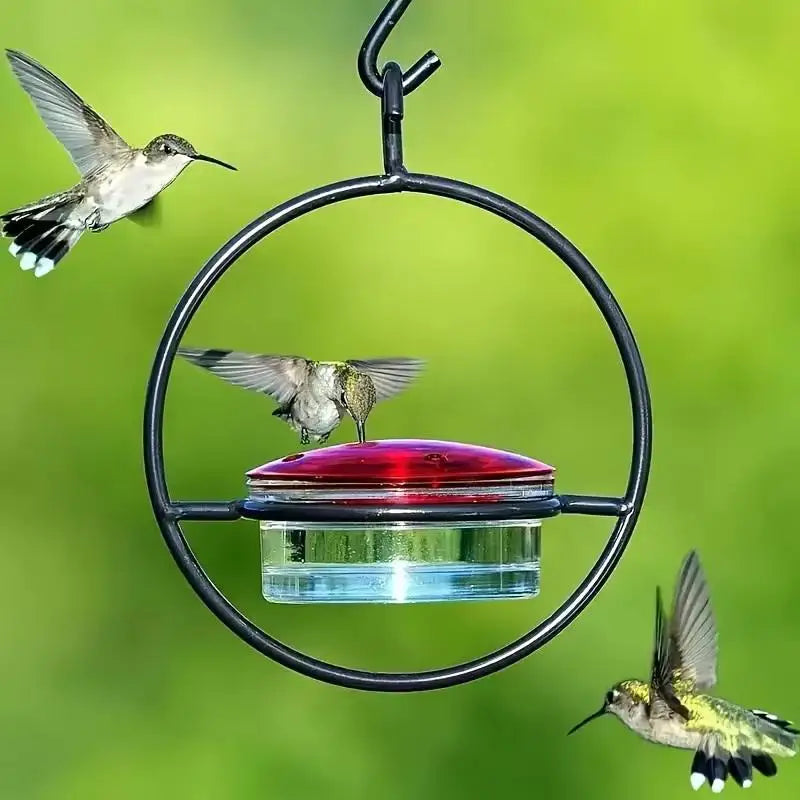 Metal Hanging Hummingbird Feeder – Red Glass Bottle & Perches Hummingbird Feeder Nixie
