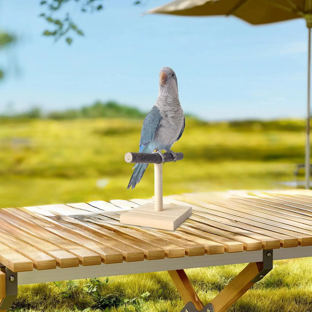 Natural Wood T-Shape Parrot Perch Stand | Desktop Bird Station Bird Perch Stand Nixie
