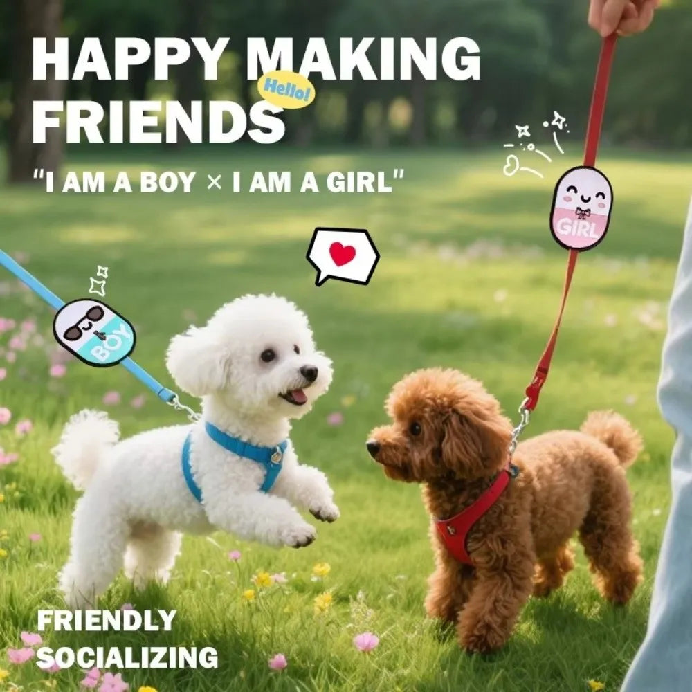 Waterproof Double-Sided Dog Warning Stickers – Pet ID Decals