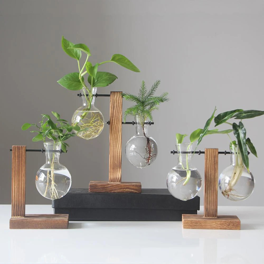 Hydroponic Glass Bud Vase with Wooden Stand – Desktop Terrarium Hydroponic Bud Vase Nixie