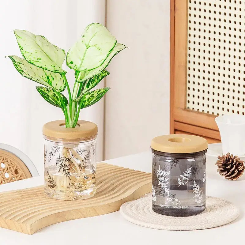 Hydroponic Planter Clear Plastic Fern Pattern Wood Lid | Desktop Hydroponic Planter Nixie