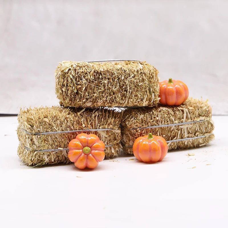 6pcs Mini Hay Bales Rustic Miniature Farmhouse Dollhouse Decor Miniature Figurine Set Nixie