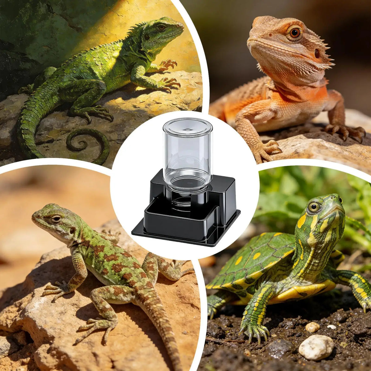 Automatic Reptile Water Dispenser for Geckos & Lizards Reptile Water Dispenser Nixie