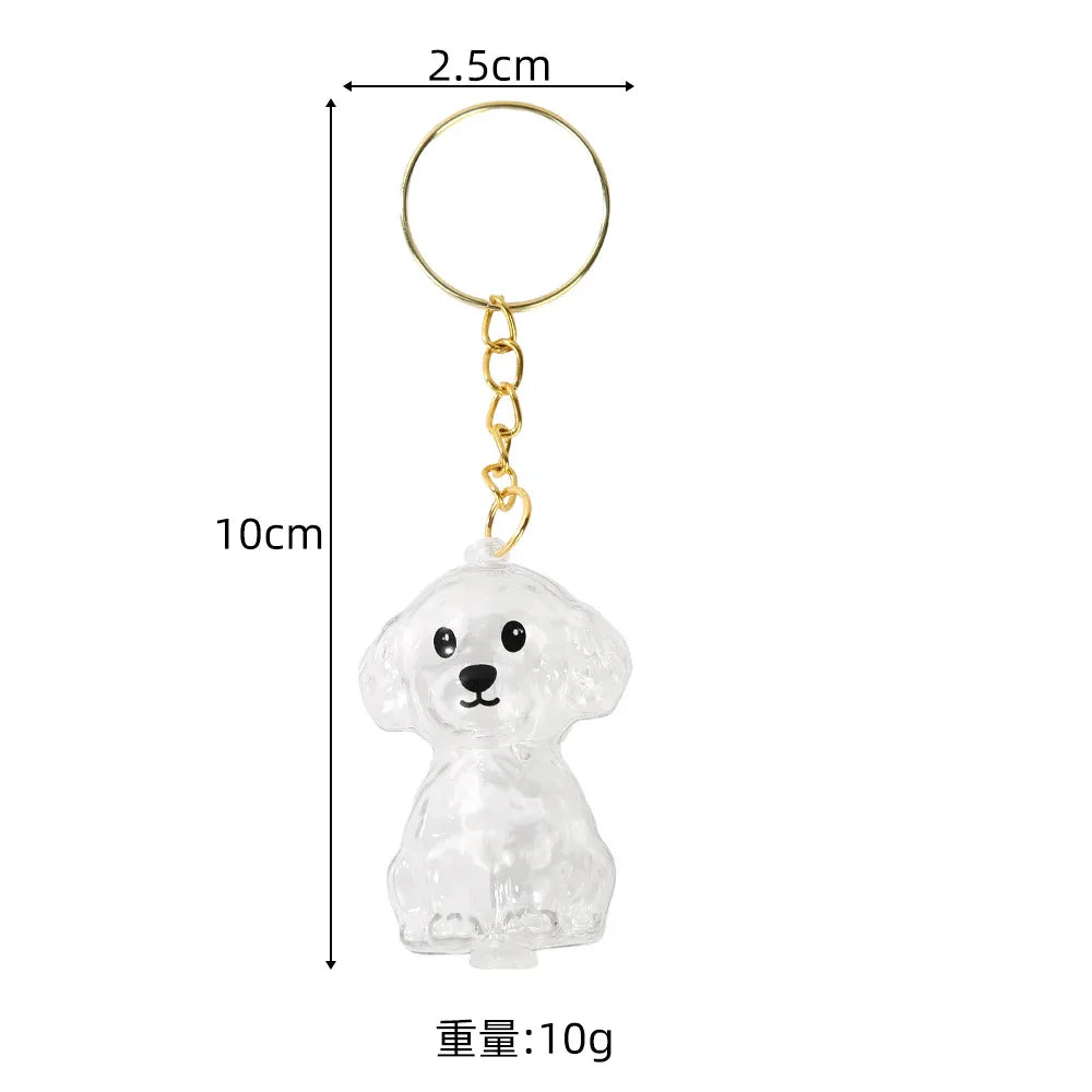 Pet Fur Keepsake Capsule Keychain – Transparent Memorial Locket