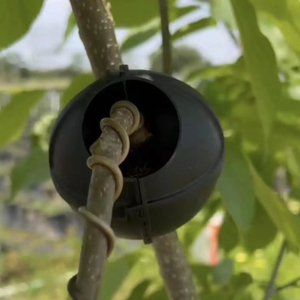 Plant Rooting Ball Propagation Box – Air Layering Tool