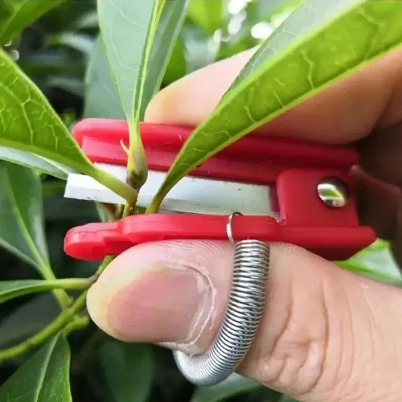 Thumb Knife Garden Pruner – Stainless Steel Fruit Picking Tool Garden Pruning Tool Nixie