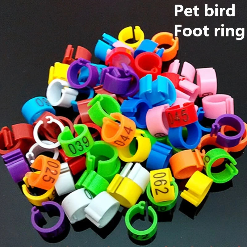 50Pcs Bird Foot Rings 8mm Auto Buckle – Pigeon & Quail ID Bands Bird Identification Rings Nixie