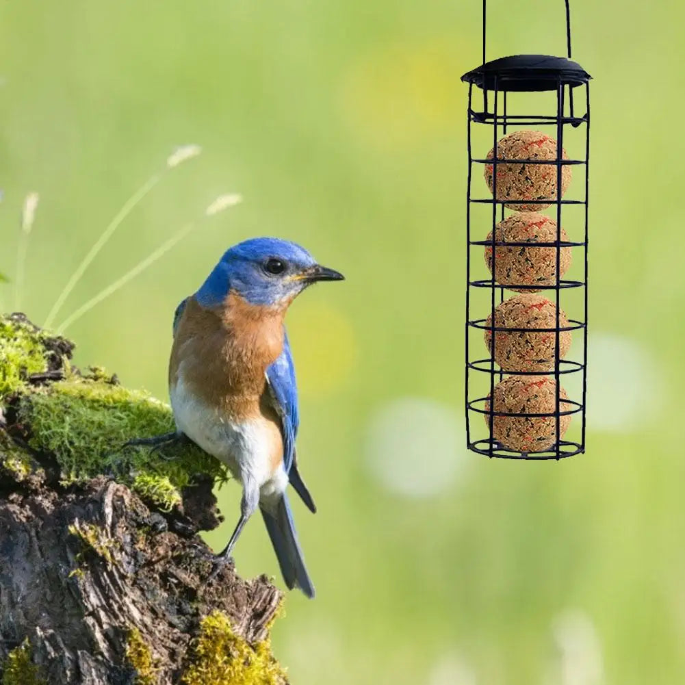 Hanging Wild Bird Feeder Suet Fat Ball Rack – Outdoor Garden Wild Bird Feeder Nixie Default Title