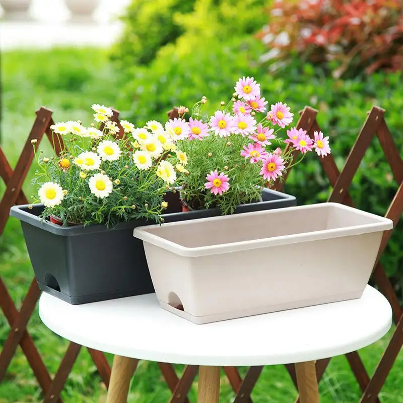 Self-Watering Planter Pot with Drainage Base – Herbs & Veggies Self-Watering Planter Nixie