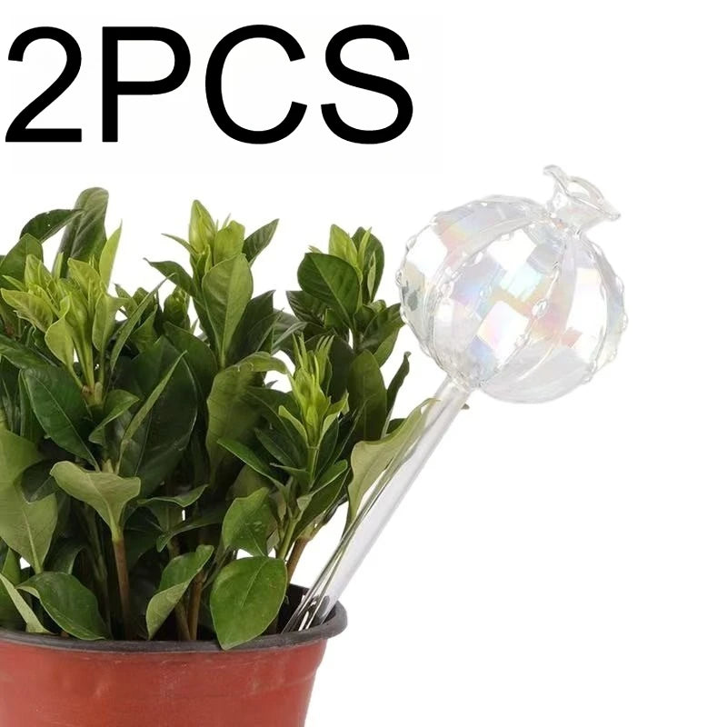 Cactus Self-Watering Globe – Auto Drip Irrigation Plant Feeder Self-Watering Globe Nixie 2PCS Transparent