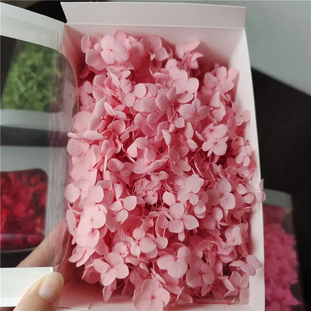 20g Dried Hydrangea Flowers – Resin, Jewelry & DIY Crafts Dried Craft Flowers Nixie