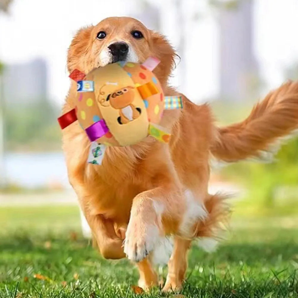 Nixie Elastic Sensory Chew Ball – Textured Dog Toy for All Breeds Dog Chew Toy Nixie