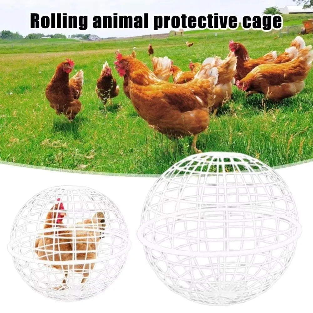 Portable Ventilated Chicken Ball Cage | Backyard & Farm Chicken Ball Cage Nixie